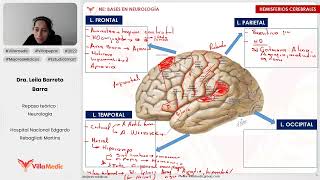 BASES EN NEUROLOGÍA PARTE 2  NEUROLOGÍA  VILLAMEDIC [upl. by Je]