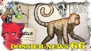 ARK DOSSIERNEWS  66  MESOPITHECUS GERMANDEUTSCH [upl. by Jadd699]