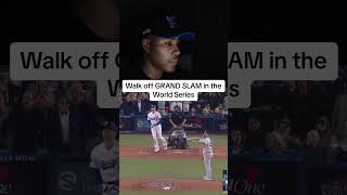 Walk off GRAND SLAM in the World Series worldseries dodgers homerun highlights fyp mlb twitch [upl. by Johiah]