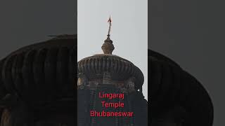 Bhubaneswar lingaraj Templehindufestival travel viralvideo [upl. by Atinele45]