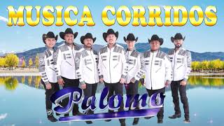 Grupo Palomo  20 Grandes Exitos Canciones  Musica Corridos [upl. by Banquer764]