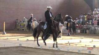 GRAN CAMPEONATO YEGUAS TROCHA Y GALOPE CATAMA 2012 [upl. by Llerat621]