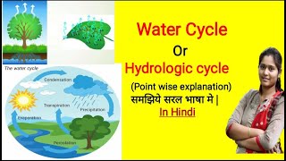 Water cycle  Hydrological cycle  Evaporation Transpiration Condensation Precipitation [upl. by Jabon]