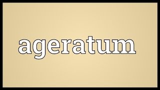 Ageratum Meaning [upl. by Chatav]