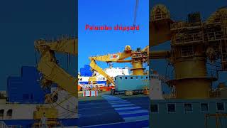 Palumbo shipyard Europe [upl. by Briant]