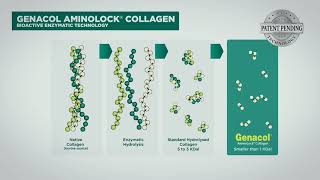 Genacol  ScienceBacked Collagen Supplements [upl. by Suter431]