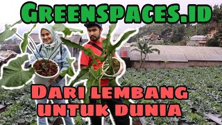 GREENSPACESID DARI LEMBANG MELAYANI DUNIA  EP 38 [upl. by Rist666]