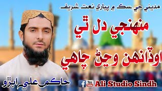 Muhnji Dil Thi Odah Wajan  Hakim Ali Abro NewNaat2024 [upl. by Kippie]