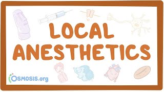 Local anesthetics pharmacology [upl. by Jonme640]