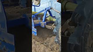 Hongyou Agricultural Machinery Stone Picker Harvester Su Ping Sweet Potato High Yield Planting [upl. by Ardnal]