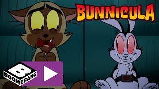 Bunnicula  Spooky Road Trip  Boomerang UK 🇬🇧 [upl. by Nieberg]