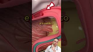 A medicina é fantástica [upl. by Handel]