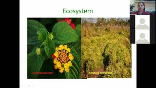 Biological Invasion and Vegetation types in Nepalclass 11 [upl. by Nayrda]