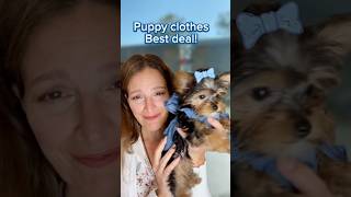 The SURPRISING way I saved my husband over 200 buying dog clothes [upl. by Esinert]