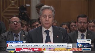 Protesters disrupt Blinken Senate budget hearing [upl. by Kemp368]