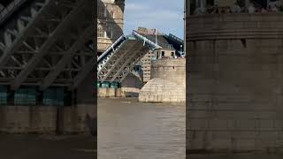 tower bridge London shortsfeed travel placestovisit shorts [upl. by Enomas]