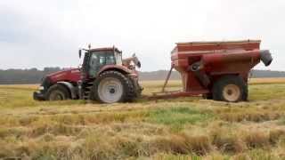 Arkansas Rice Harvest [upl. by Enyawal253]