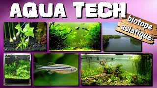 PRESENTATION BIOTOPE ASIATIQUE AQUA TECH [upl. by Matthew681]