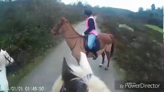 Horse spooked by motorbikes  2016 [upl. by Nyllek105]