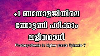 1 botany class photosynthesis in higher plants episode  7 [upl. by Tom]