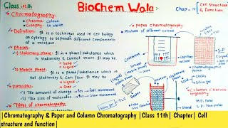 Chromatography Paper amp Column Chromatography Class 11th Chapter Cell structure and function [upl. by Tortosa]