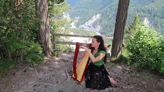 Concerning Hobbits  Lord of The Rings Harp Cover [upl. by Filipe]