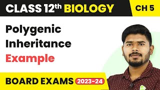 Example of Polygenic Inheritance  Principles of Inheritance and Variation  Class 12 202223 [upl. by Zeculon529]