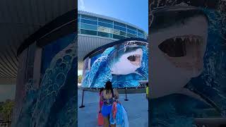 Bahamas 🇧🇸 travel cruise ytshorts [upl. by Klinger]