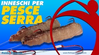 Inneschi SurfCasting Preparare Filetti di Cefalo per Pesce Serra 2 Versioni  Bonus Nodi [upl. by Jehius]