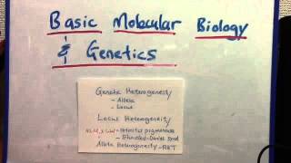 Genetic heterogeneity locus and allelic [upl. by Martelle182]