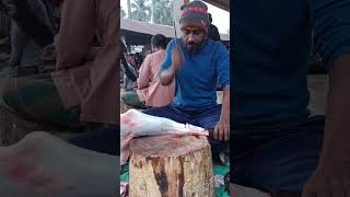 Quality full expert Butcher 🥩 Super reel reels best beef skills Amazing shorts meat Perfec [upl. by Iddo]