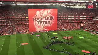 Benfica one of the greatest football club in the world quotAs Águiasquot holds 38 titles till 2024 [upl. by Karia723]