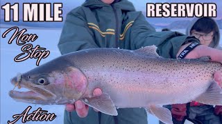 NONSTOP ACTION  Ice Fishing ELEVEN MILE RESERVOIR and Catching INSANE amount of TROUT [upl. by Bartram]