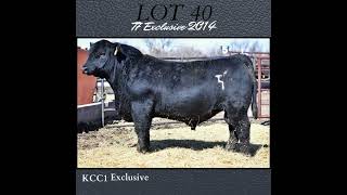 Cattlemans Choice Bull Sale  March 16 2024 [upl. by Kevin]