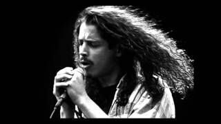 Black Hole Sun  Chris Cornell Tribute [upl. by Bysshe992]