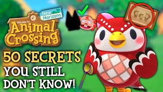 50 SECRETS You STILL Dont Know  Animal Crossing New Horizons [upl. by Eanom894]