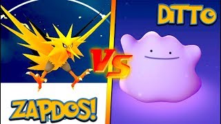 NEW ZAPDOS vs THE DITTO POKÉMON GO LEGENDARY RAID CHALLENGE [upl. by Debbra]