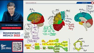 BÁSICAS I  NEUROLOGÍA [upl. by Alison532]