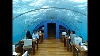 Ithaa Conrad Maldives Rangali Island Maldives  Worlds First Undersea Restaurant [upl. by Gagnon]