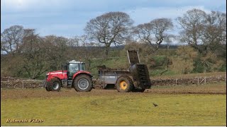 MuckSpreading with MF 7725 and Bunning [upl. by Einahpetse551]