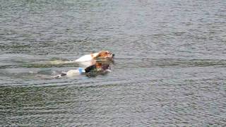 Coon Dog Water Race at 2009 Ferrum Folklife Festival [upl. by Raymund]