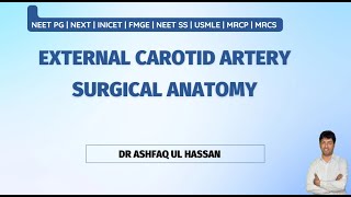 External Carotid Artery  Angiology for NEET PG  FMGE INICET [upl. by Arimay]