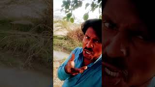 comdi video airab choan full comdy mummycomedy sortvideo funny comedy [upl. by Randolf263]