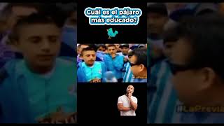 Cuál es el pájaro más educado humor comedia laprevia adivinanza [upl. by Vaish]