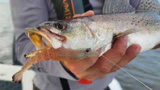 Speckled Trout Flounder  and Redfish Part 1 Fishing with Jason’s Saltwater Guide Services [upl. by Leacock]