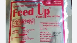 FEED UP YEAST കോഴികൾക്ക് എങ്ങനെ കൊടുക്കാം [upl. by Adlesirc]