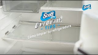 Cómo limpiar tu refrigeradora [upl. by Ausoj]