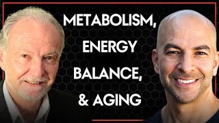 324‒Metabolism energy balance and aging the impact of diet calorie restriction amp macronutrients [upl. by Oyek]