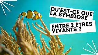 Questce que la symbiose entre 2 êtres vivants [upl. by Aerdna]