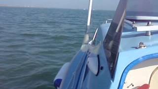 fishing on our microplus in the solent [upl. by Edra]